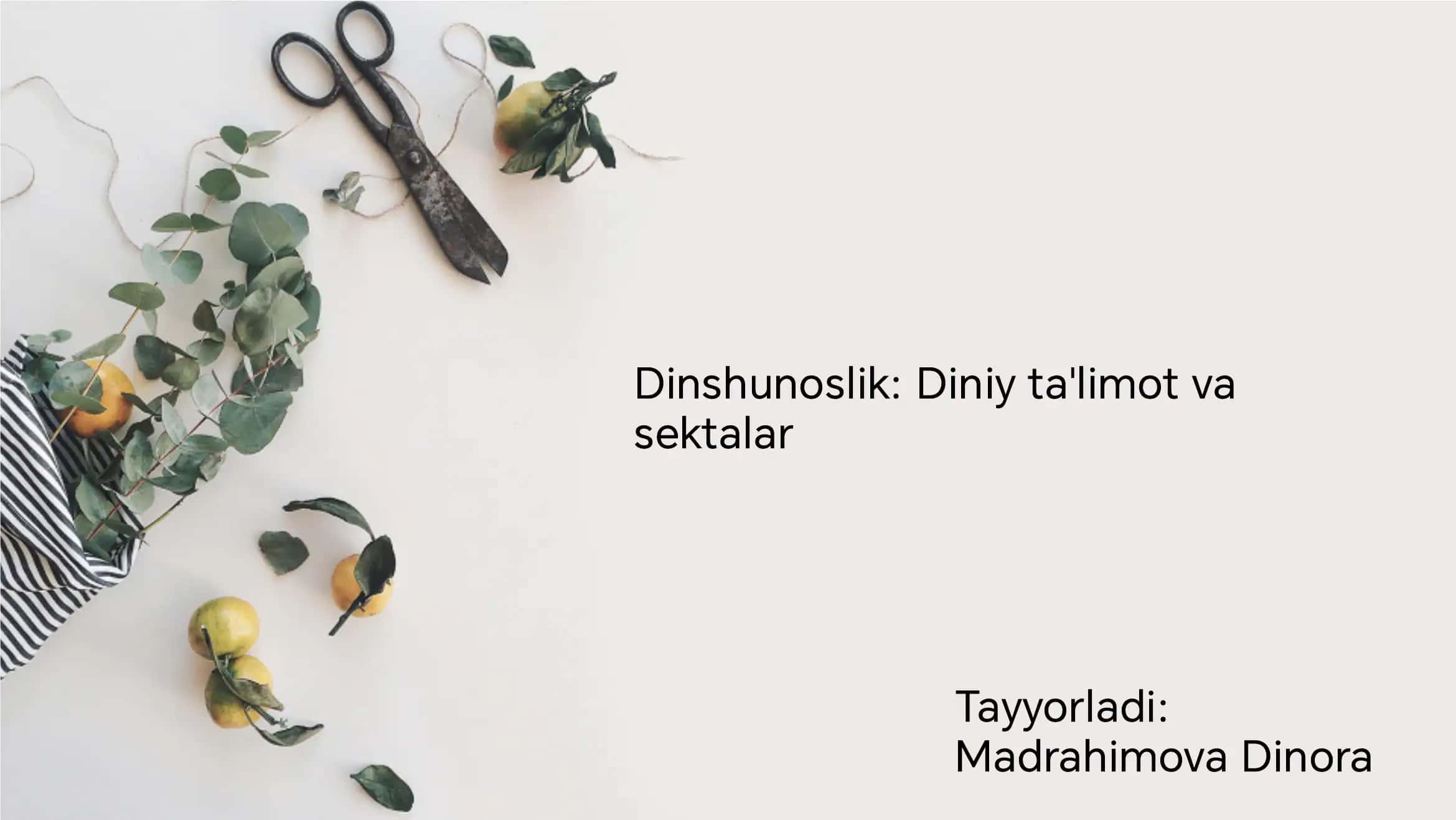 Diniy Sekta va Dinshunoslik