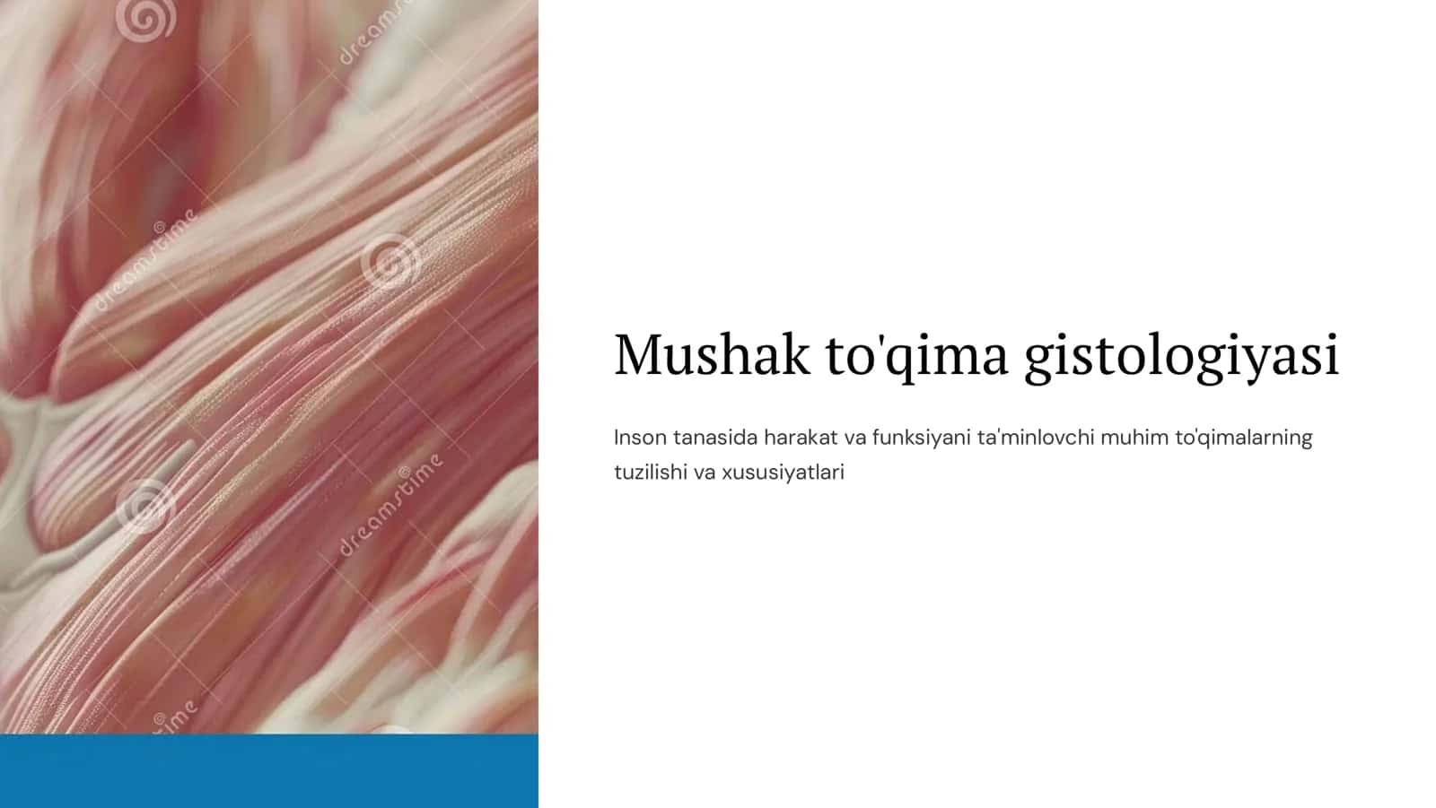 Mushak to'qima