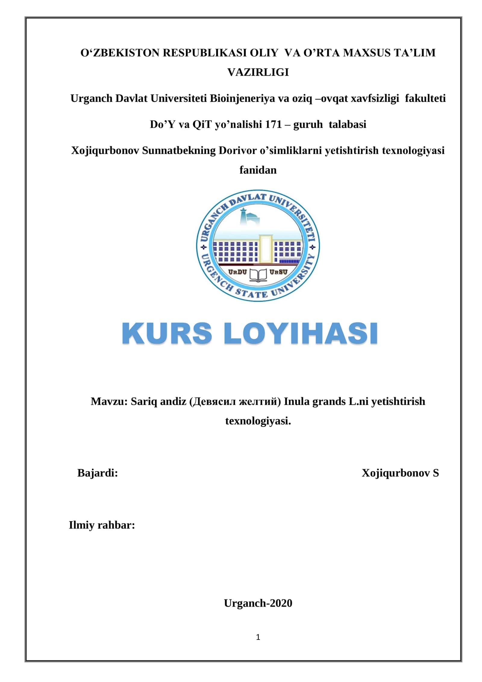 Sariq andiz (Девясил желтий) Inula grands L.ni yetishtirish texnologiyasi