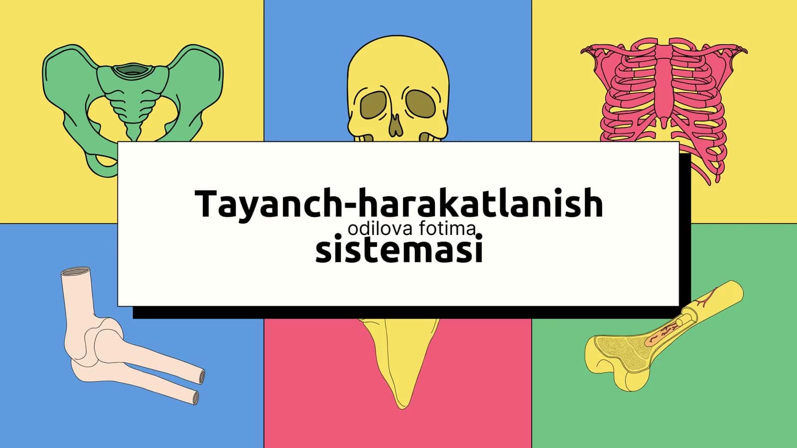 tayanch harakatlanish sistemasi prezintatsiya
