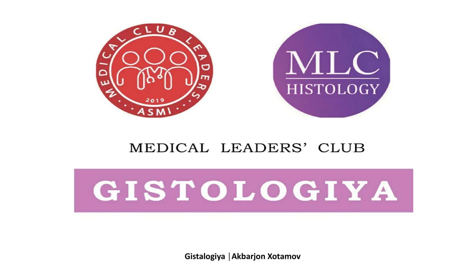 Bosh miya gistologiyasi