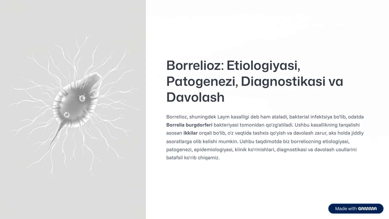 Borrelioz: Etiologiyasi, Patogenezi, Diagnostikasi va Davolash