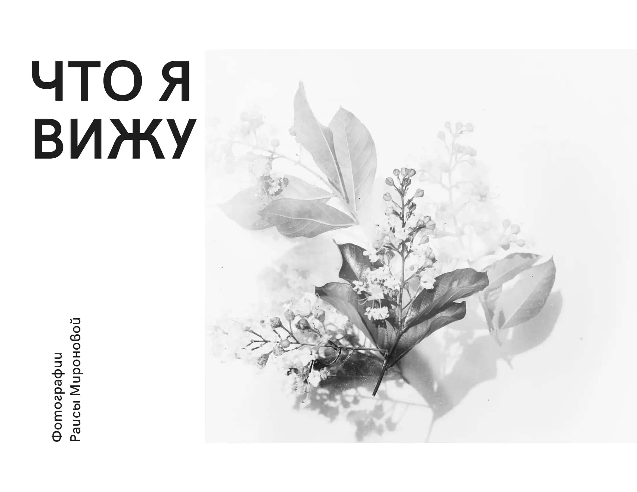 Фотографии Раисы Мироновой