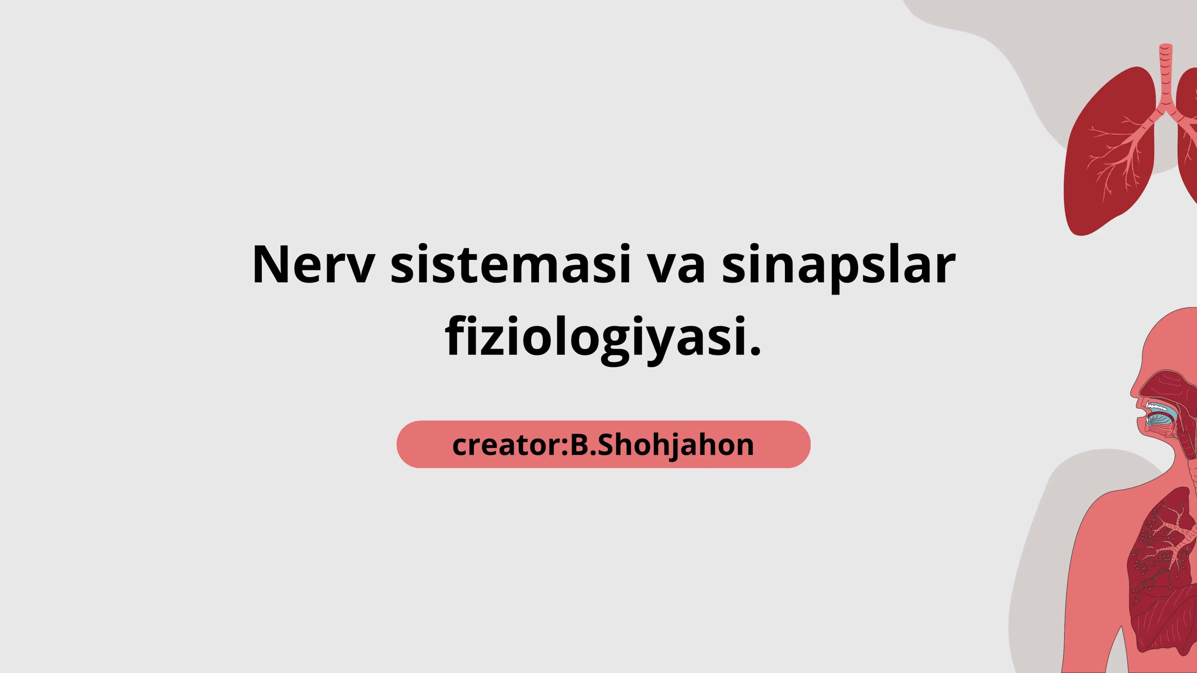 Nerv sistemasi va sinapslar fiziologiyasi