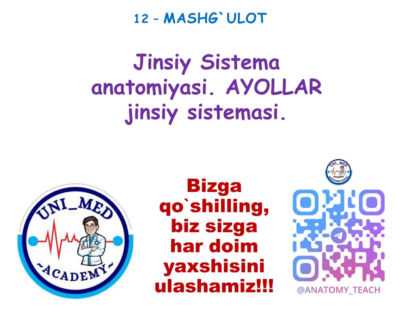 Jinsiy Sistema anatomiyasi