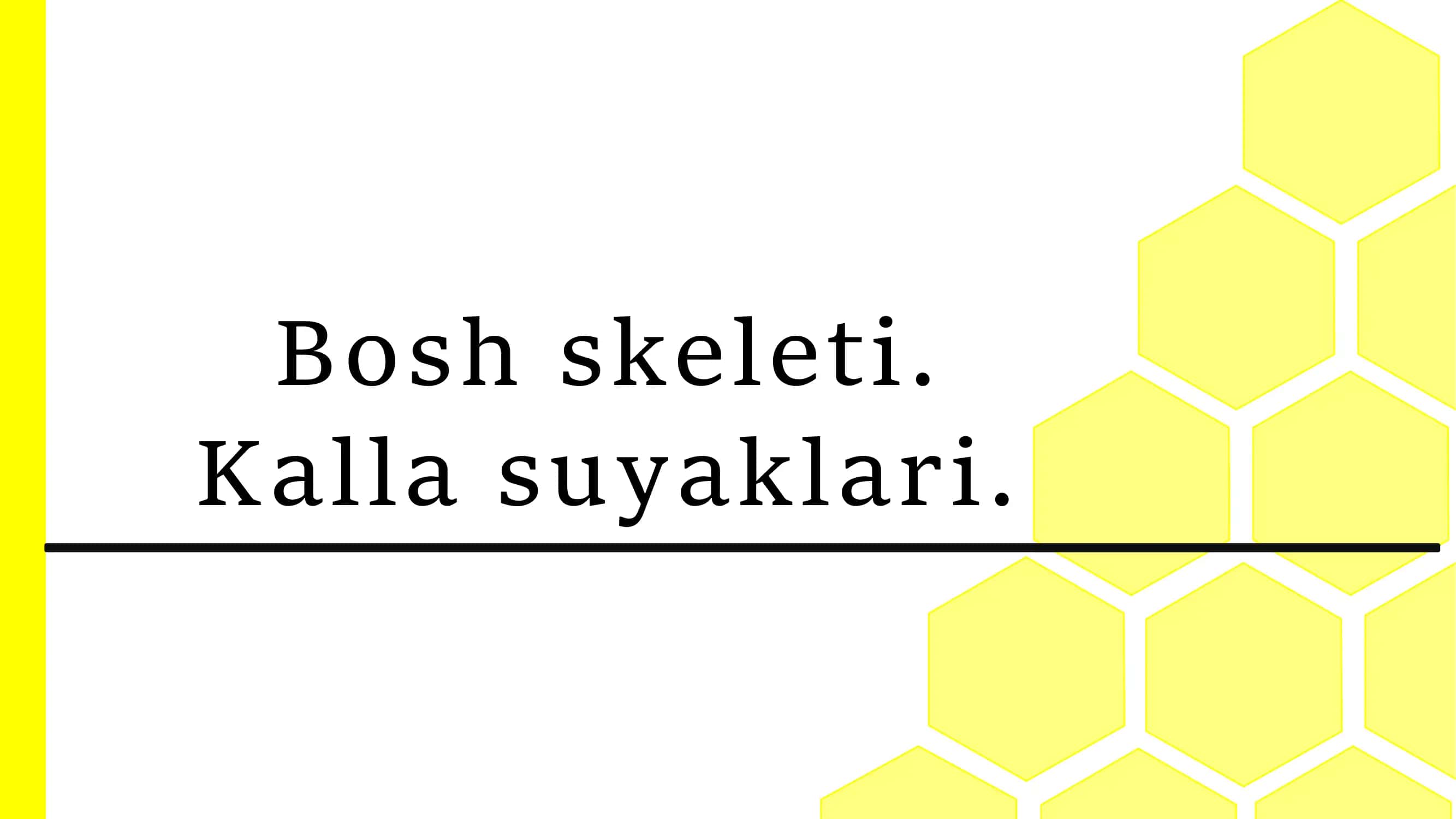 Bosh skeleti