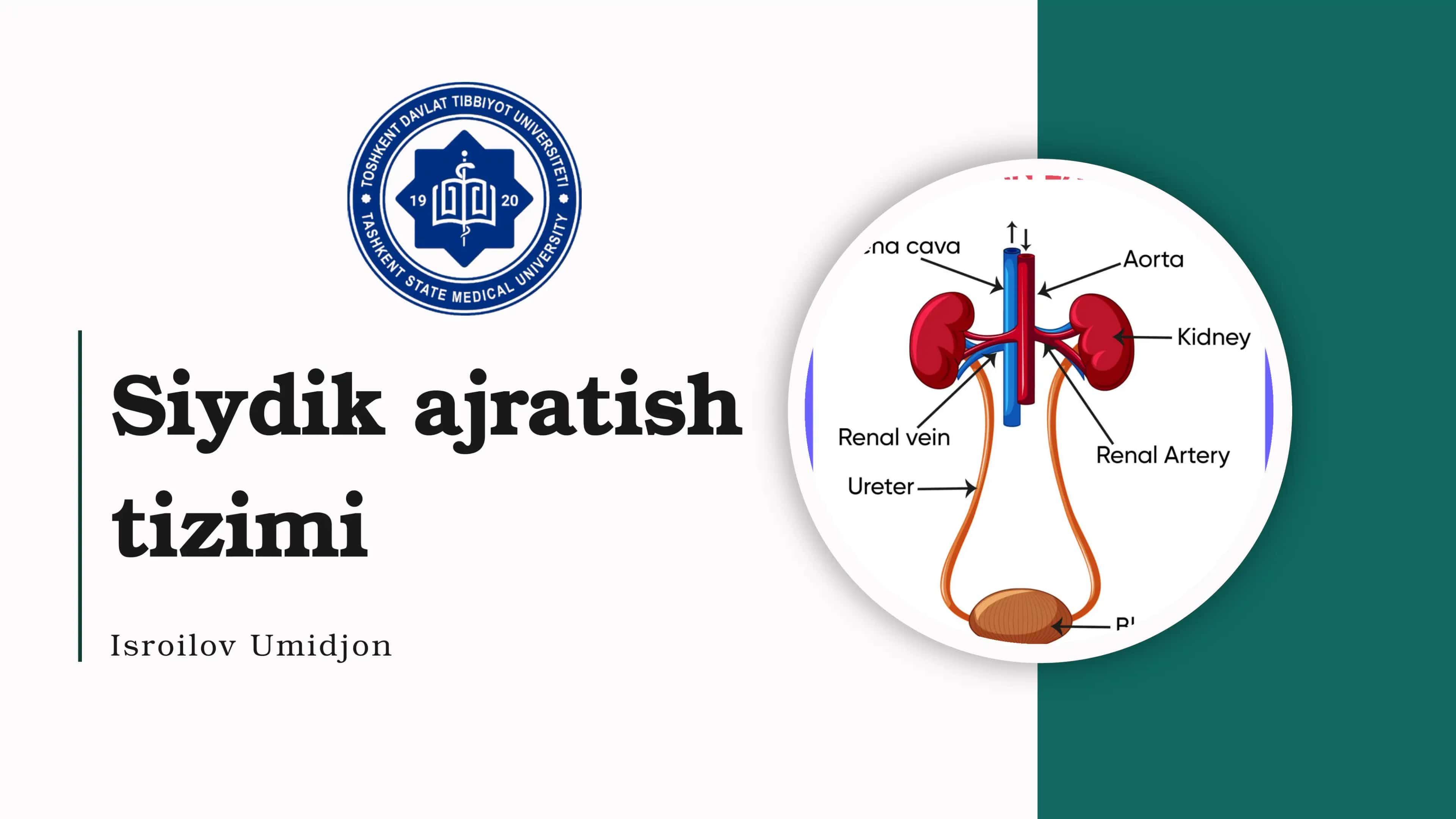 Siydik ajratish tizimi