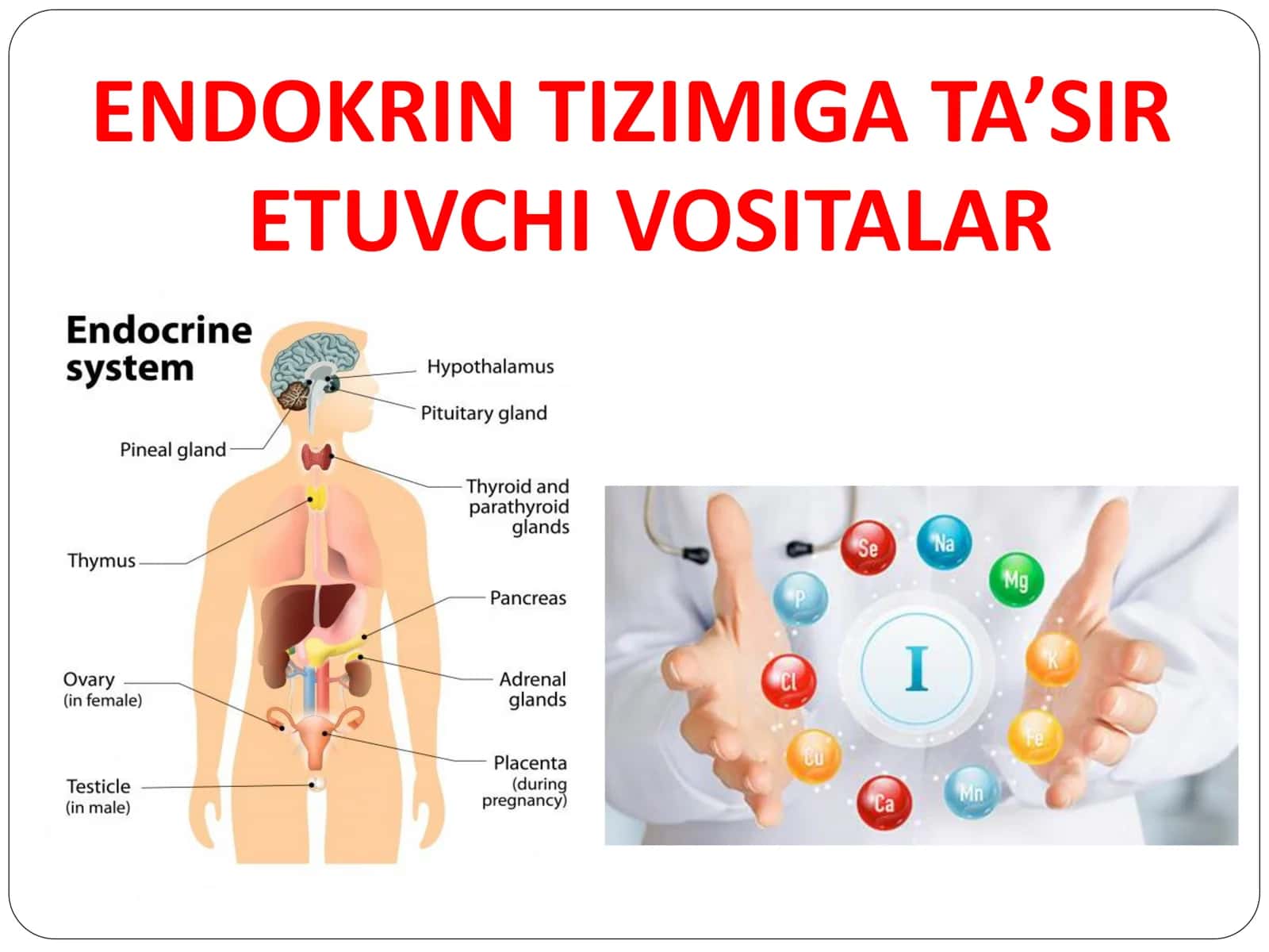 ENDOKRIN TIZIMIGA TA’SIR ETUVCHI VOSITALAR
