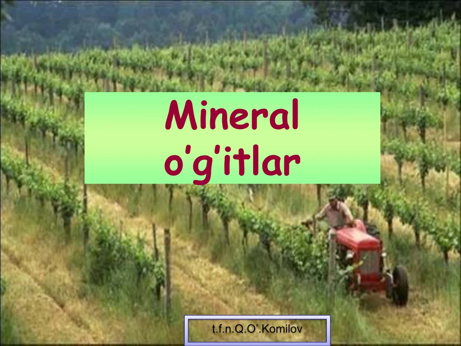 Mineral o’g’itlar