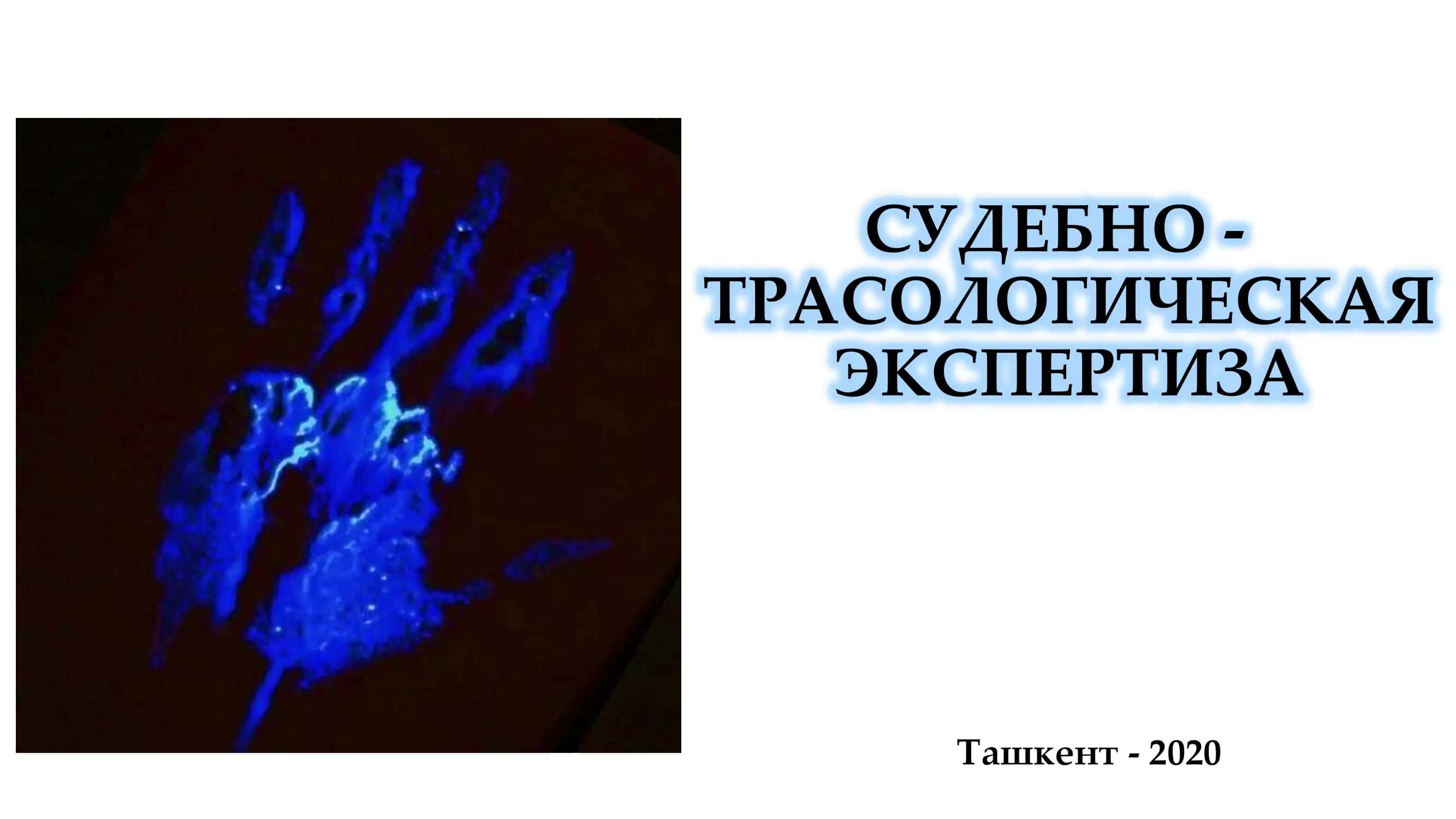 СУДЕБНО - ТРАСОЛОГИЧЕСКАЯ ЭКСПЕРТИЗА