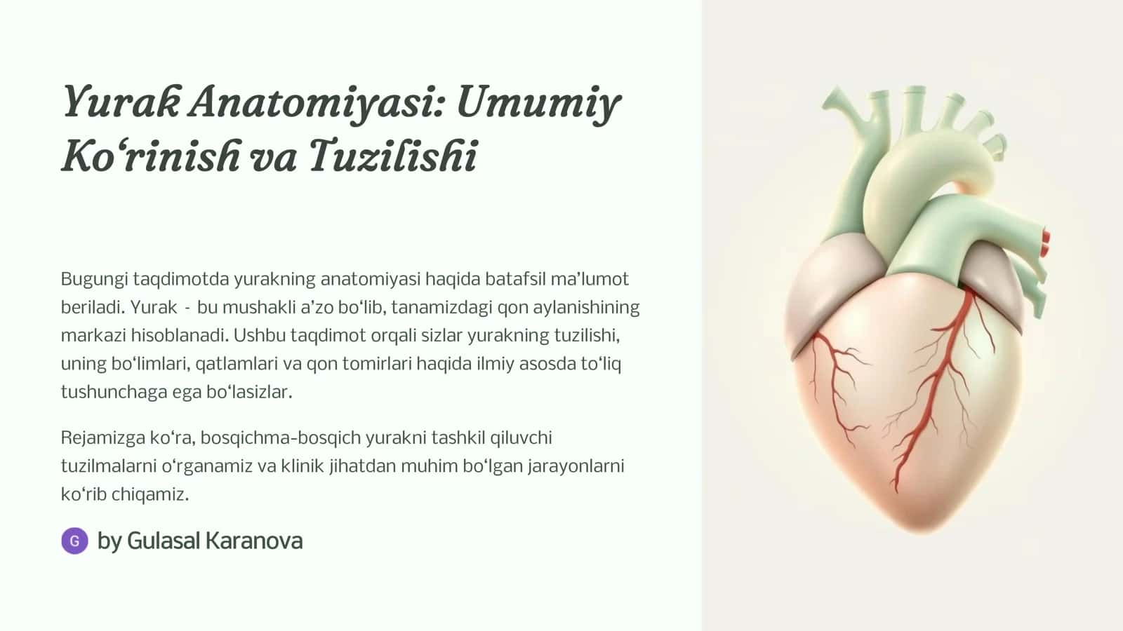 Yurak Anatomiyasi: Umumiy