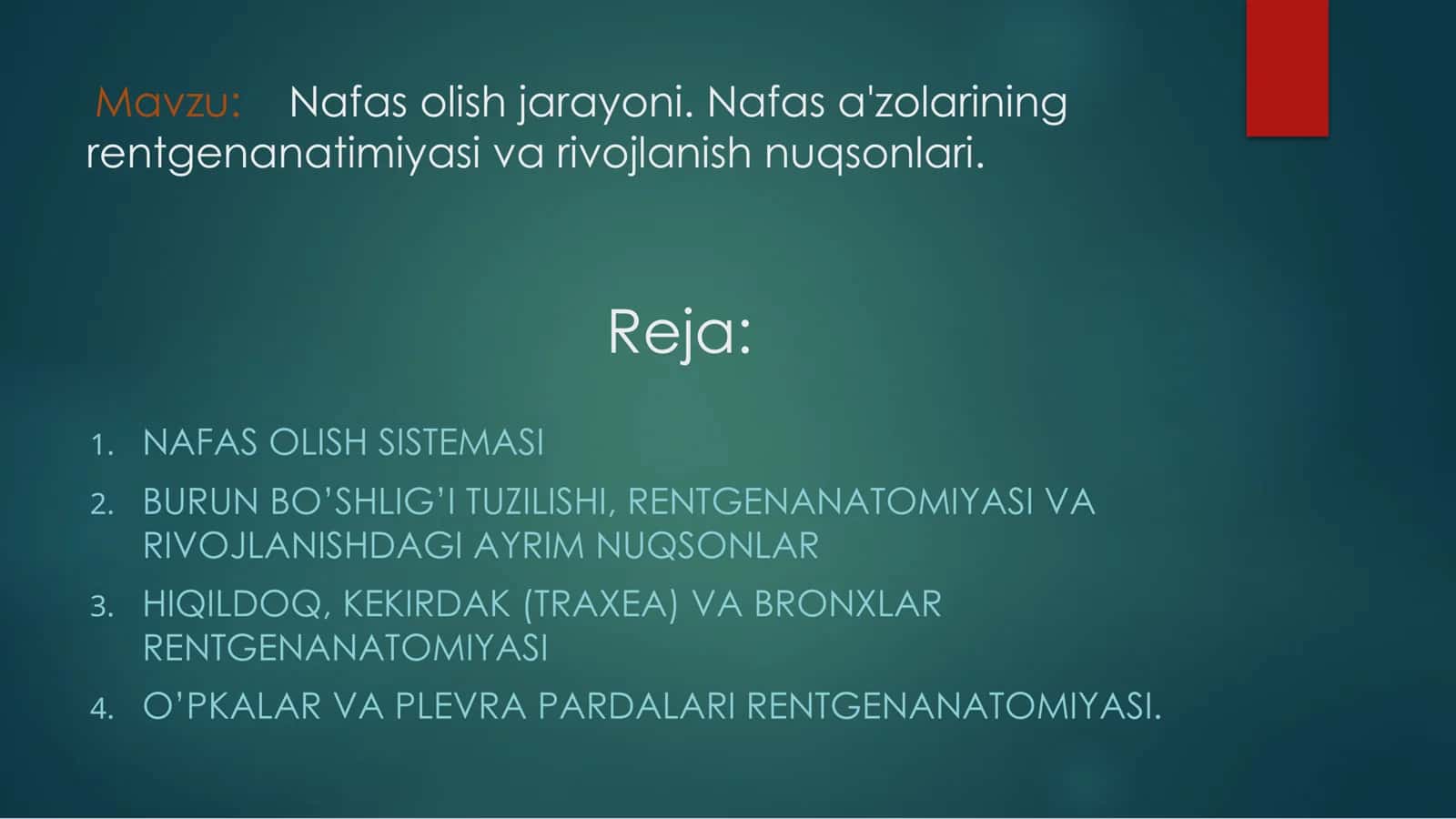 Nafas olish jarayoni