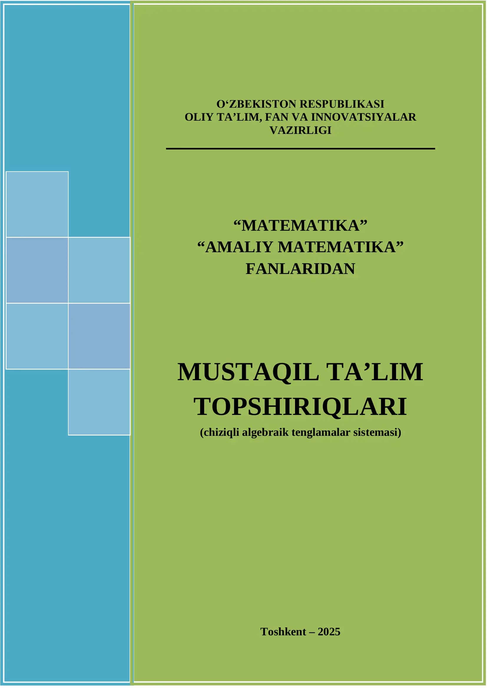 Mustaqil ta'lim topshiriqlari (chiziqli algebraik tenglamalar sistemasi