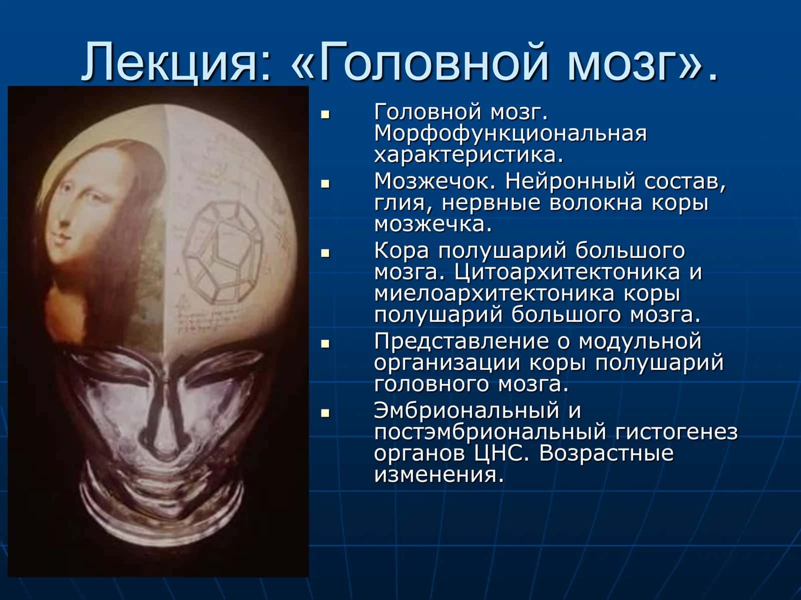 Головной мозг