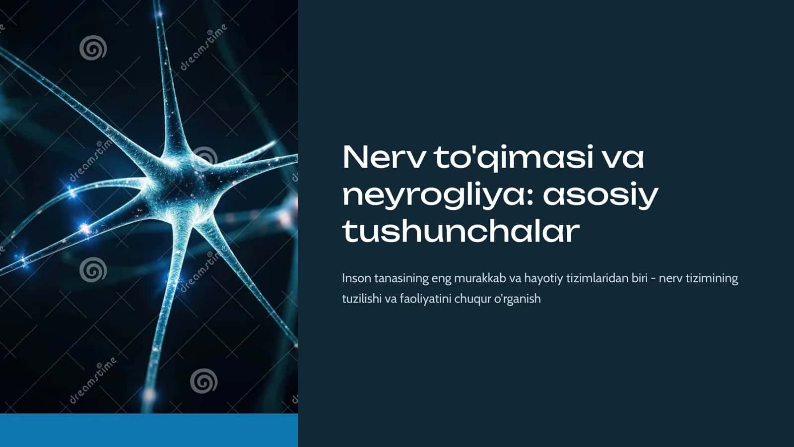 Nеrv to'qima. Nеyrogliya