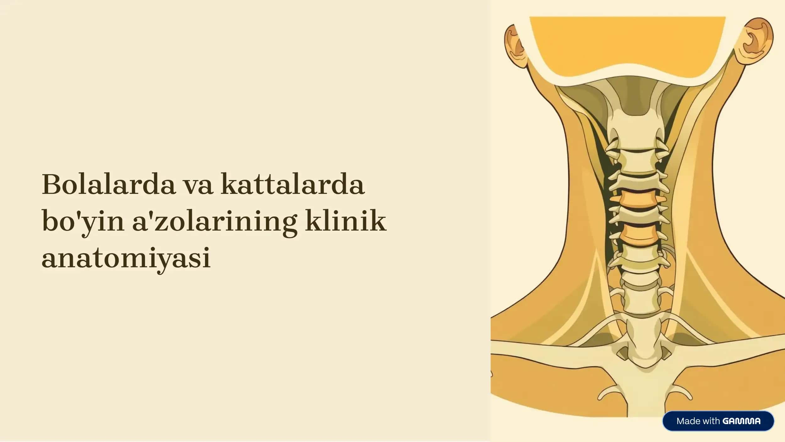 Bolalarda va kattalarda bo'yin a'zolarining klinik anatomiyasi