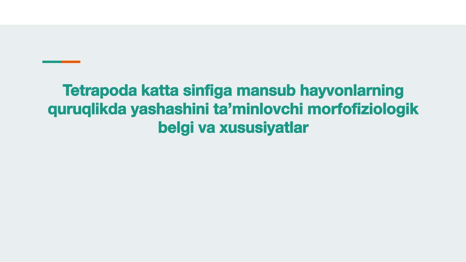 Tetrapoda katta sinﬁ