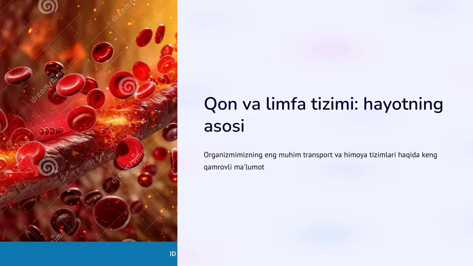 Qon va limfа
