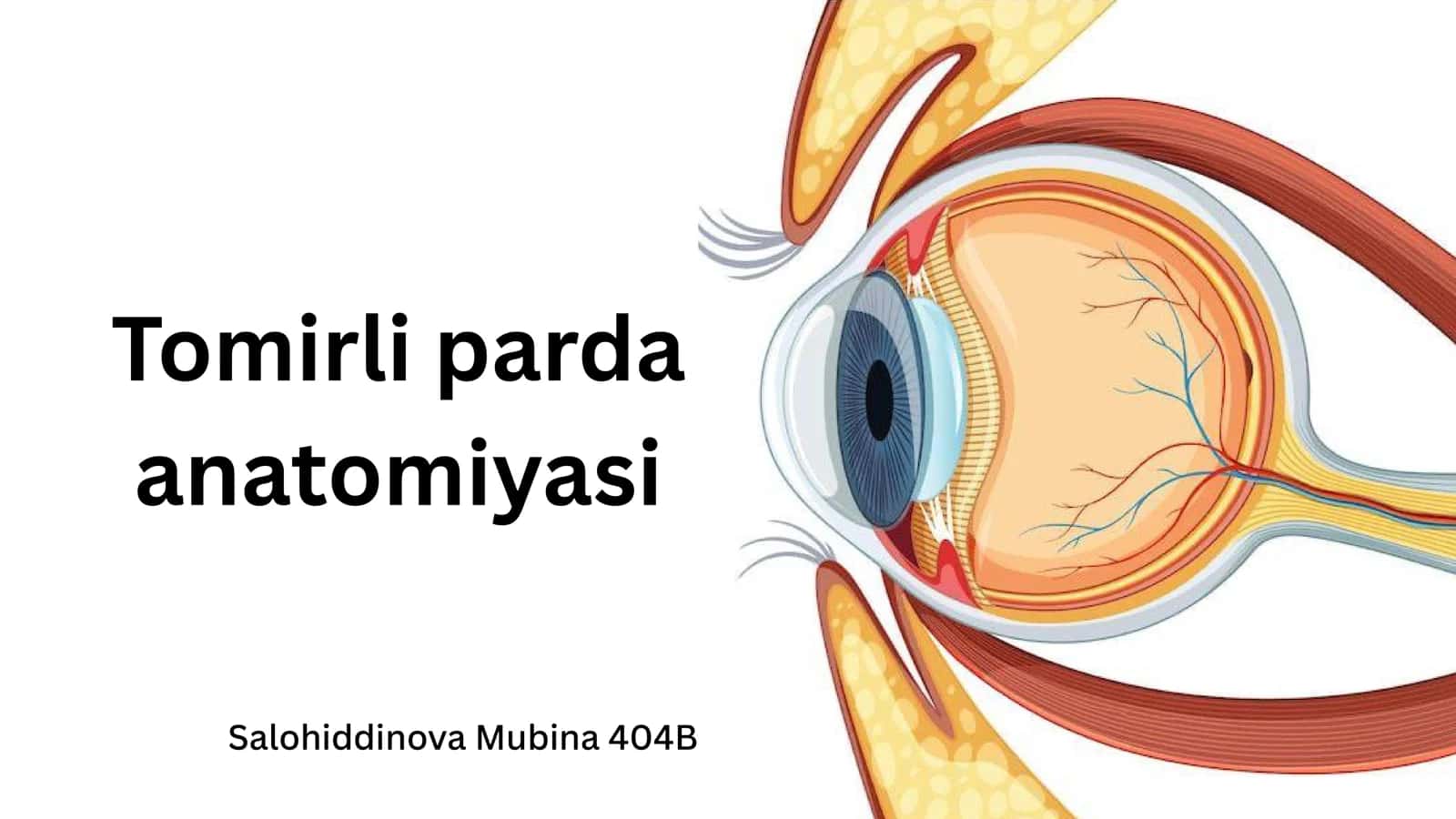 Tomirli parda