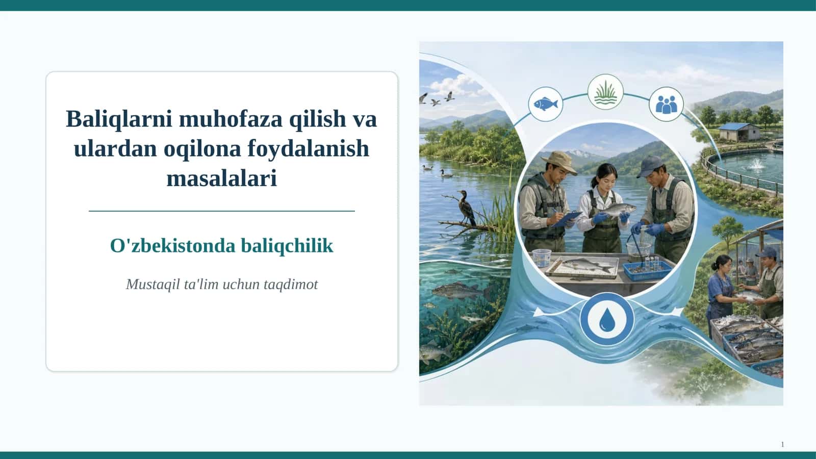 Baliqlarni muhofaza qilish va ulardan oqilona foydalanish masalalari