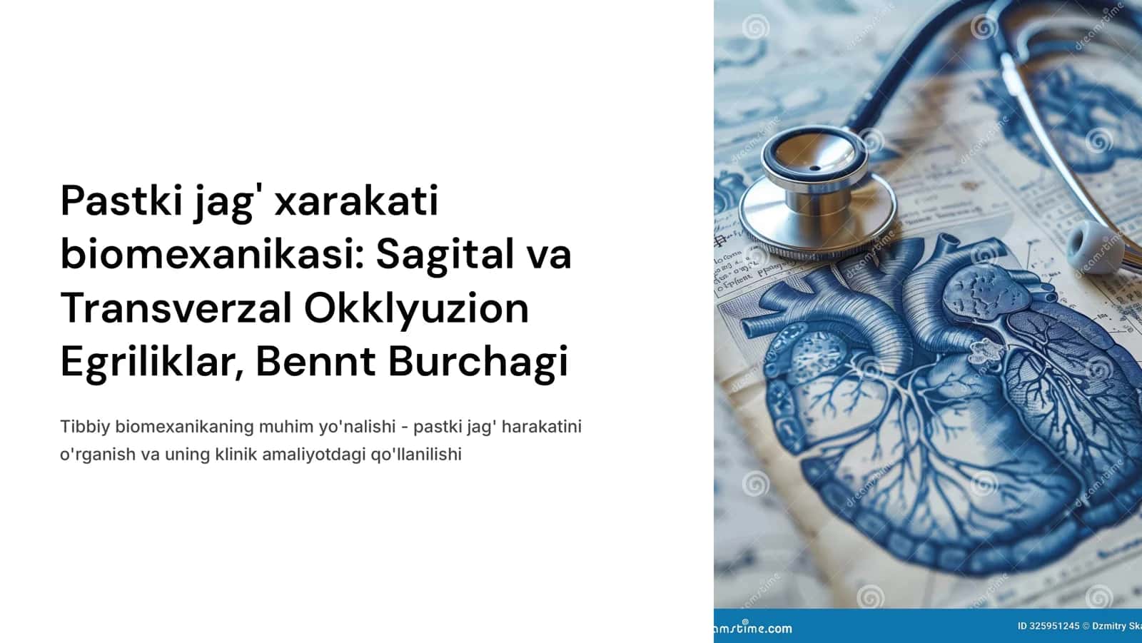 Pastki jag‘ xarakati biomexanikasi.Sagital okklyuzion egrilik(Shpee egriligi).Transverzal okklyuzion egrilik.Transverzal bo‘g‘im yo‘li burchagi(Bennt burchagi)