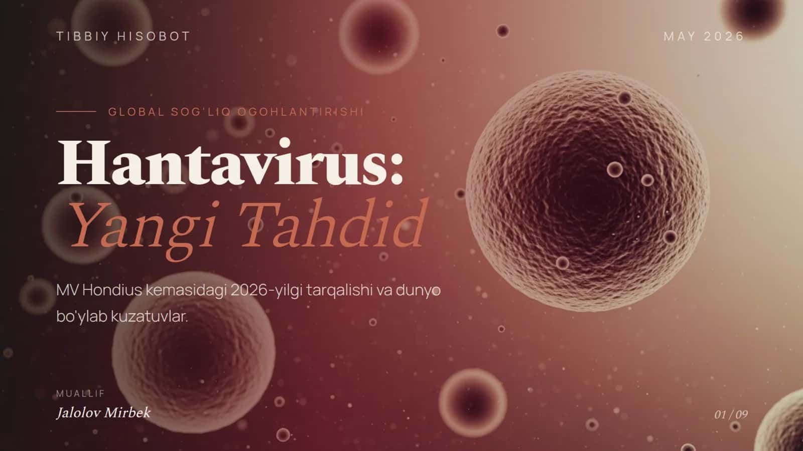 Hantavirus nima