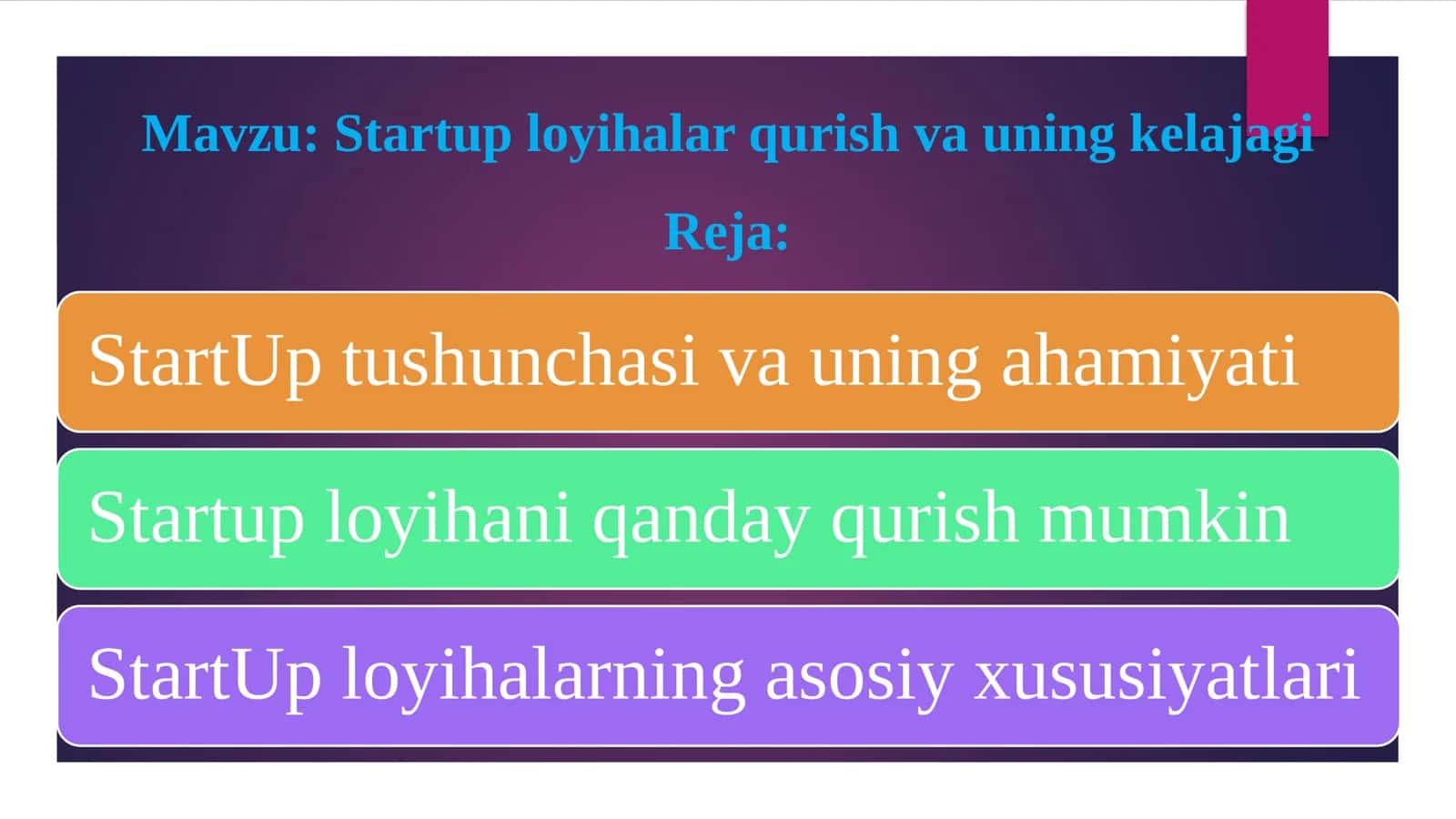 Startup loyihalar qurish va uning kelajagi