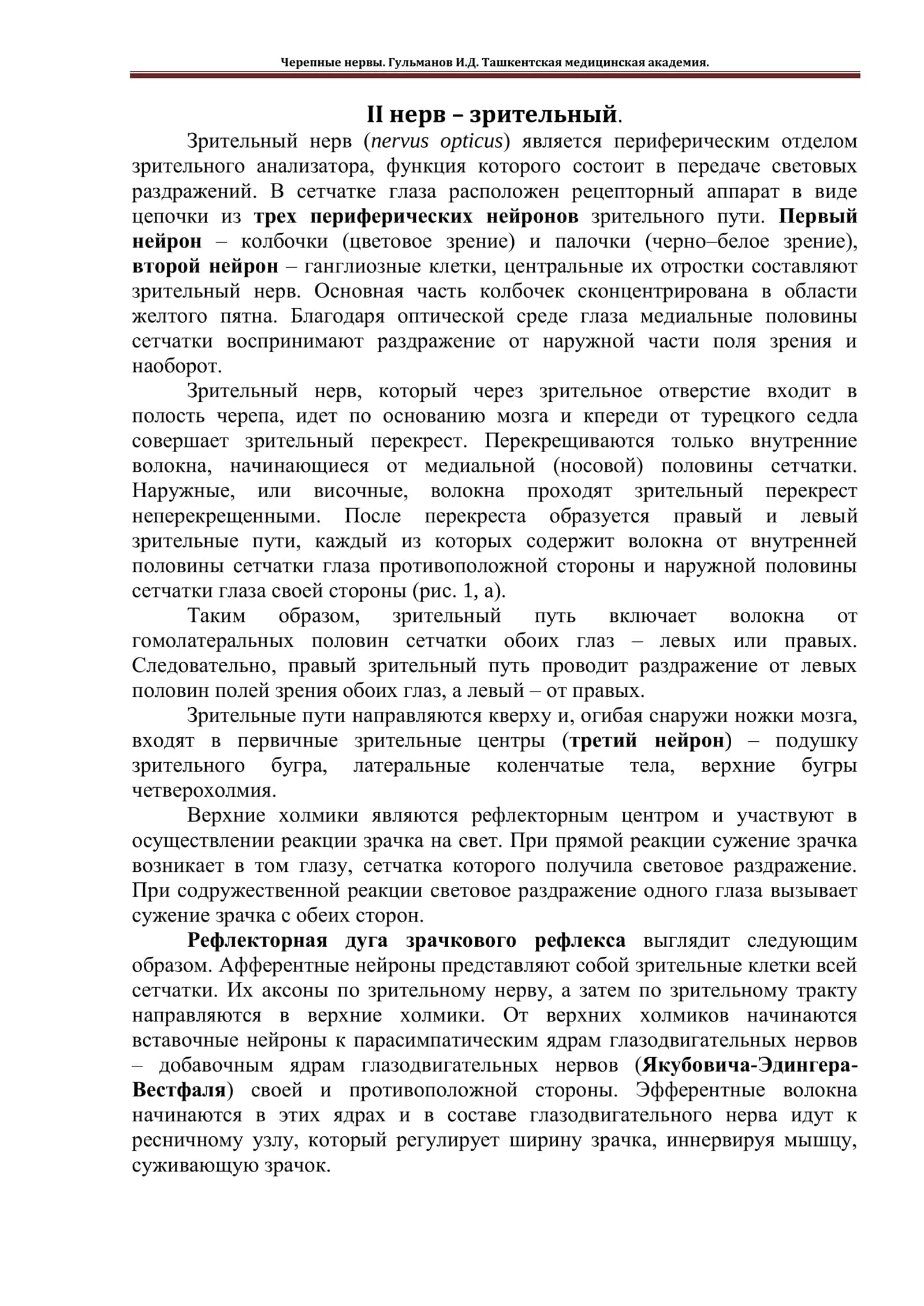 Zrительный нерв (nervus opticus)