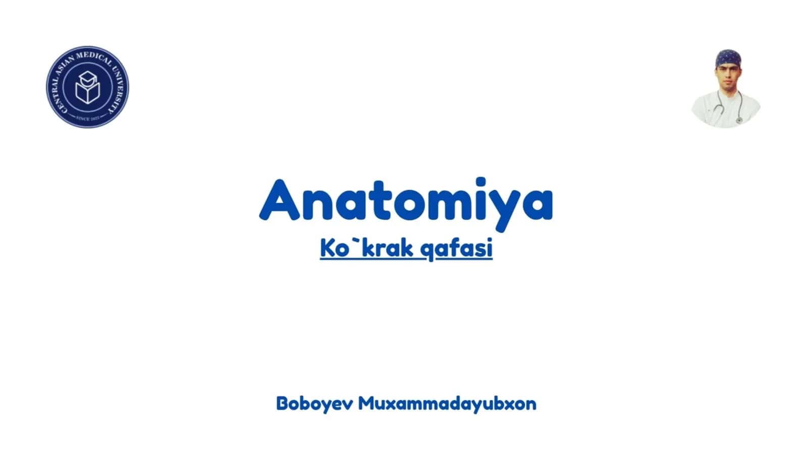 Ko'krak qafasi anatomiyasi To'sh omrov kurak va qovurg'alar  anatomiyasi.