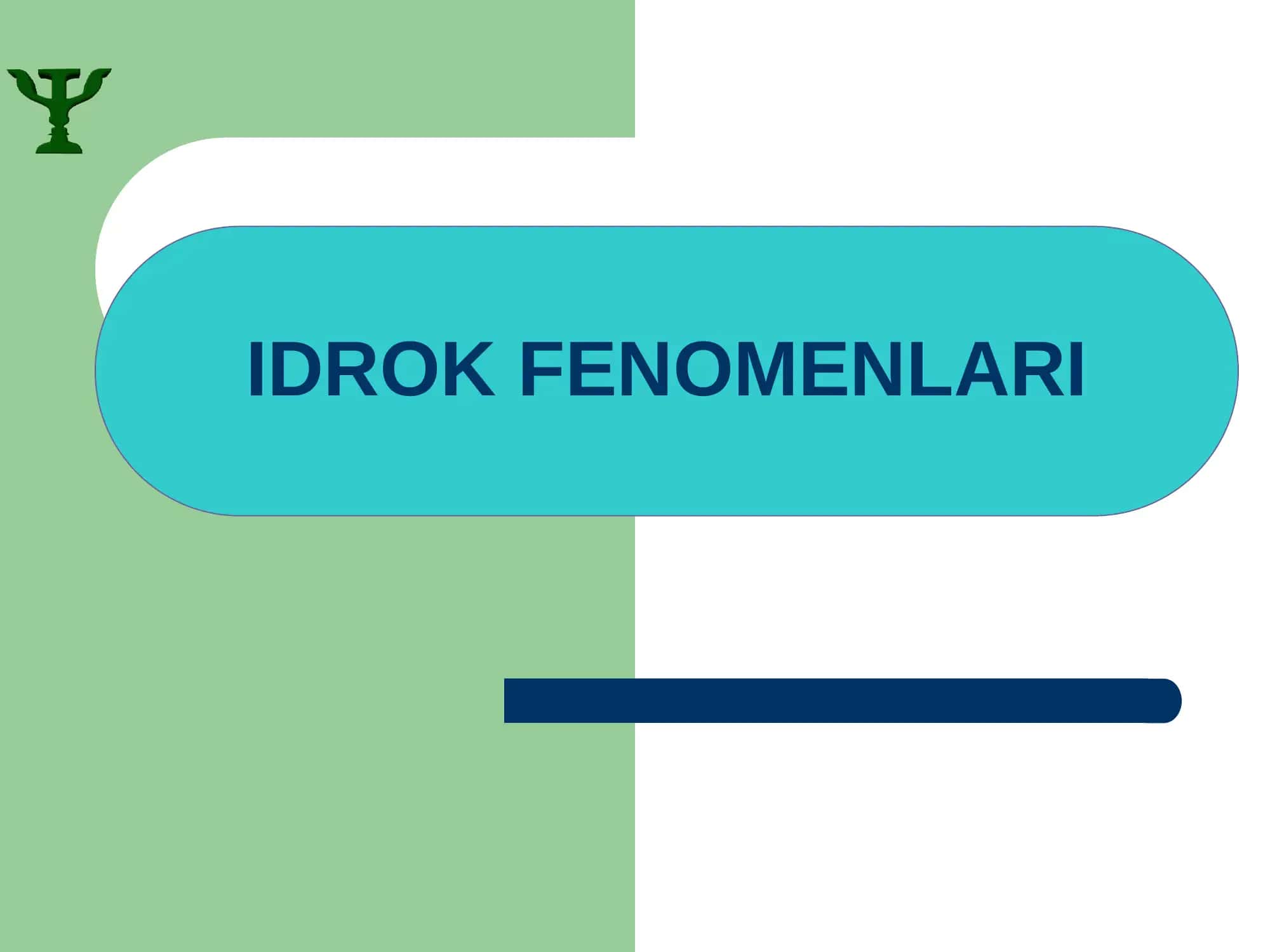 Idrok fenomenlari 1