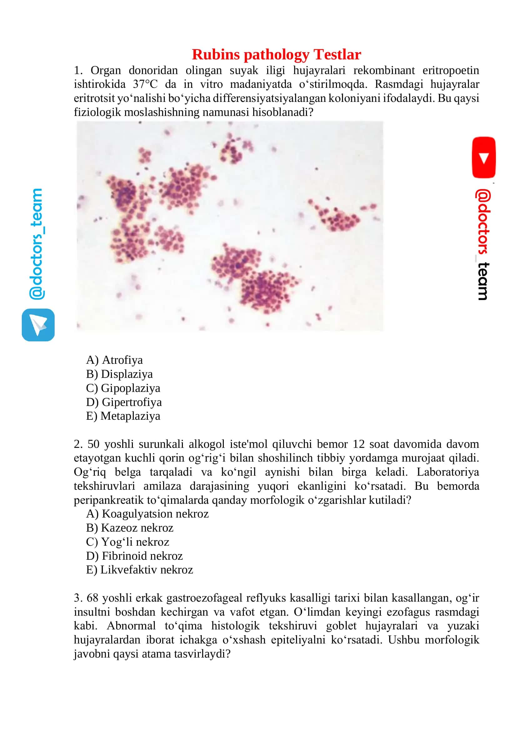 Rubins pathology Testlar