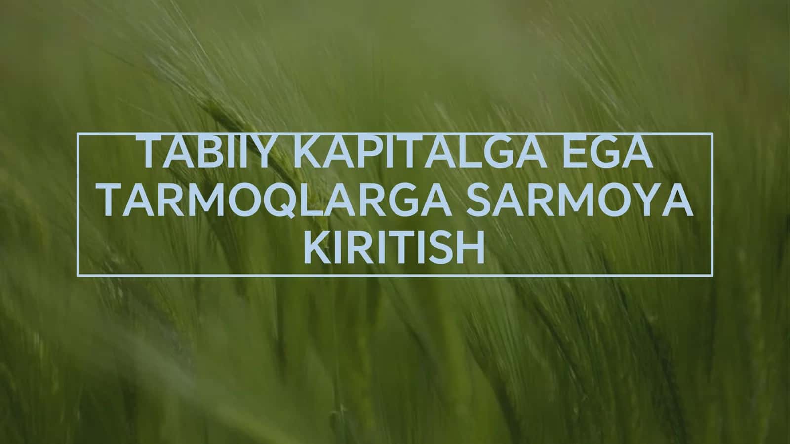 TABIIY KAPITALGA EGA