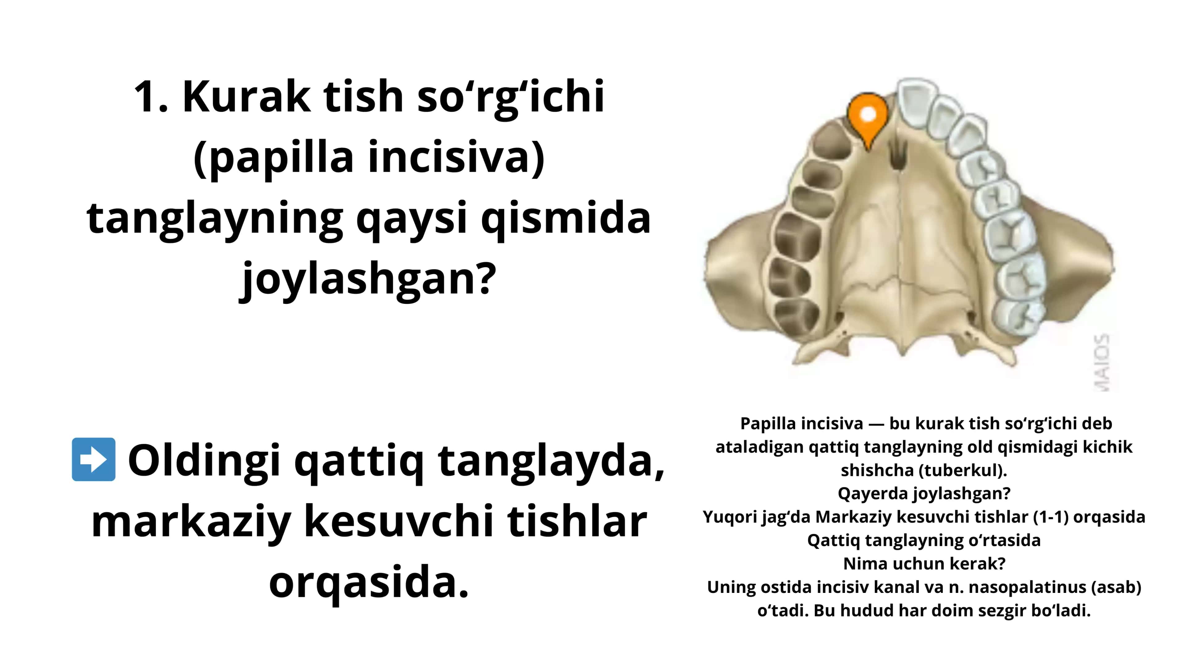 Makrofillarga taalluqli kompozitlar