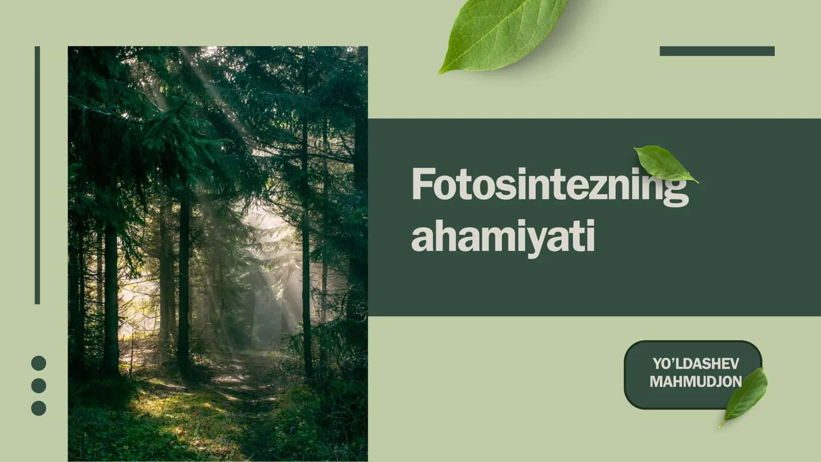 Fotosintezning ahamiyati