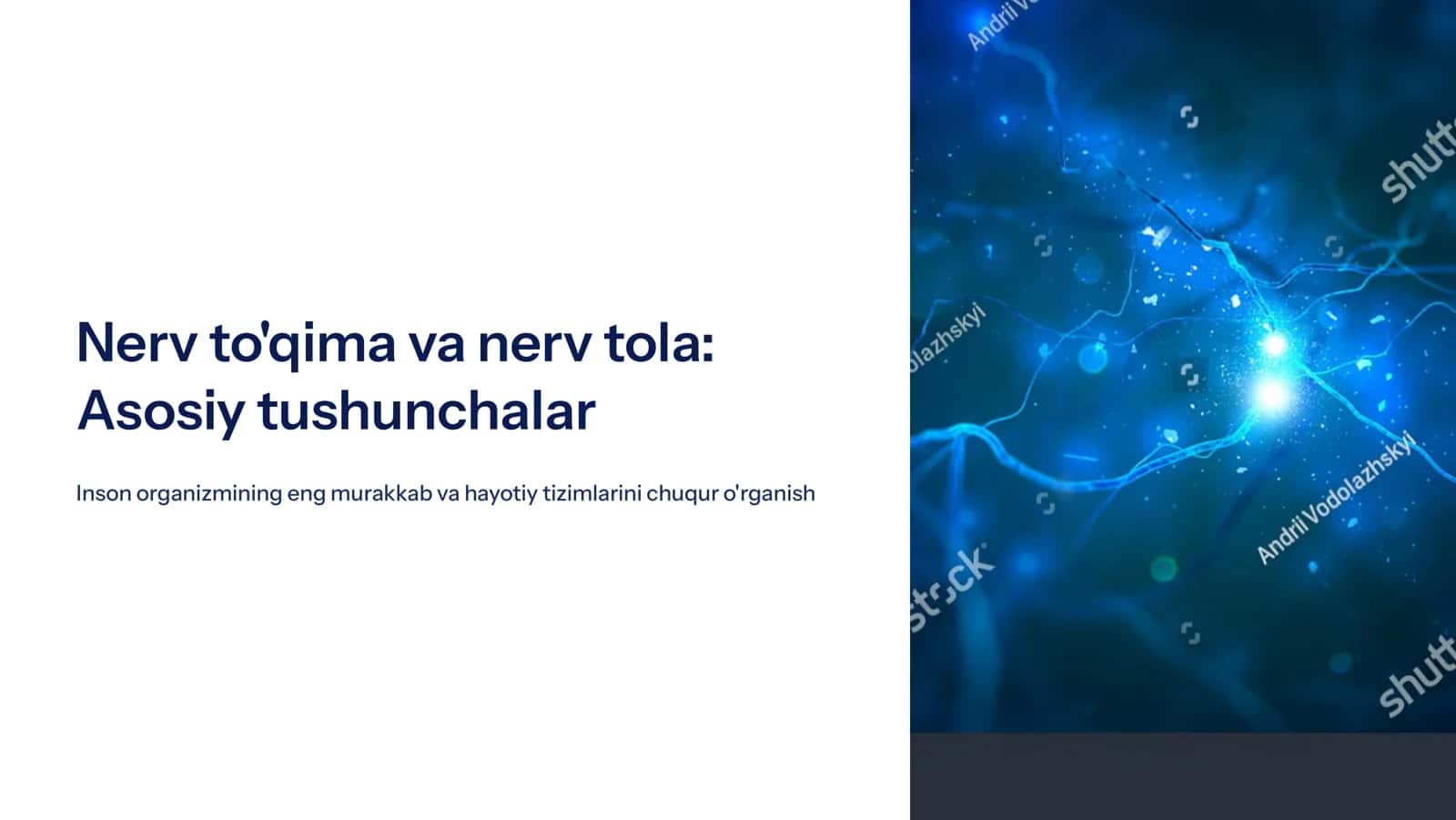 Nеrv to'qima Nеrv tola