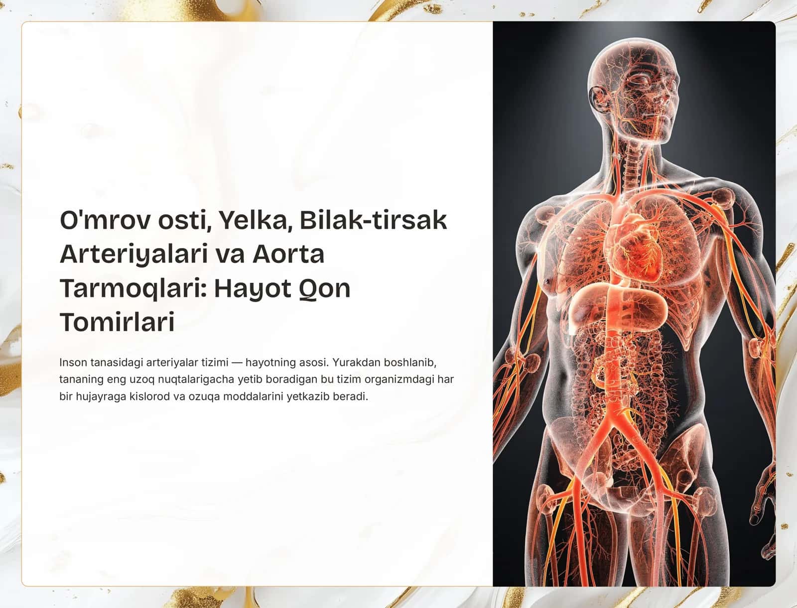 Arteriyalar va Aorta