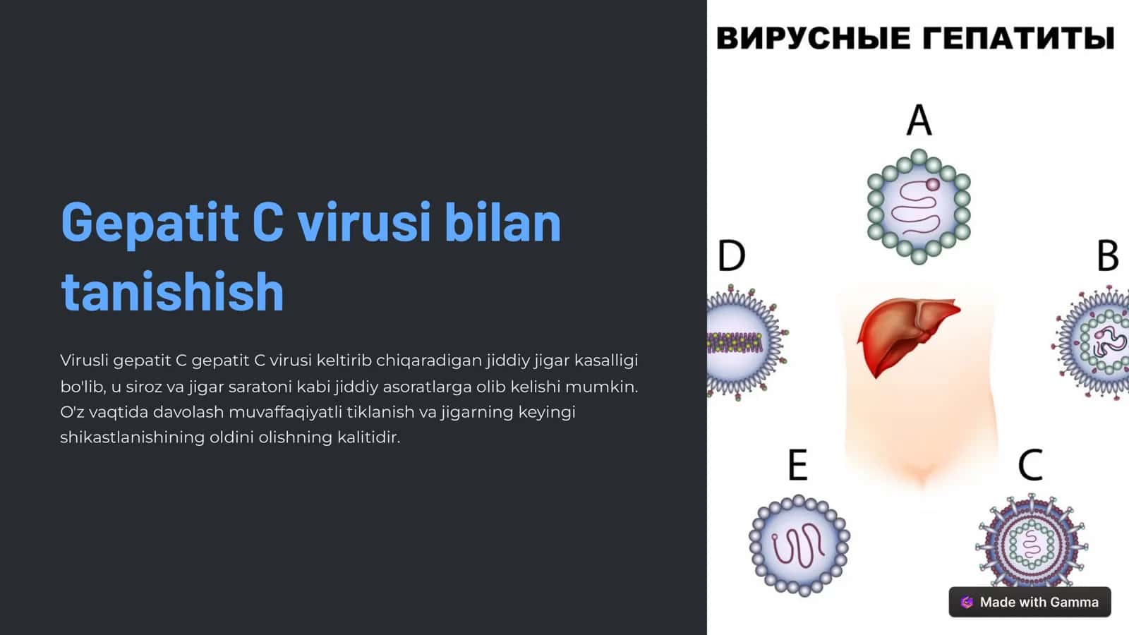 Gepatit C virusi bilan tanishish