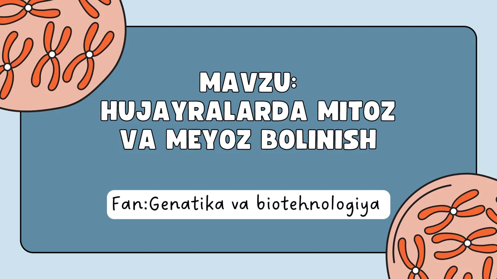 Hujayralarda mitoz va meyoz