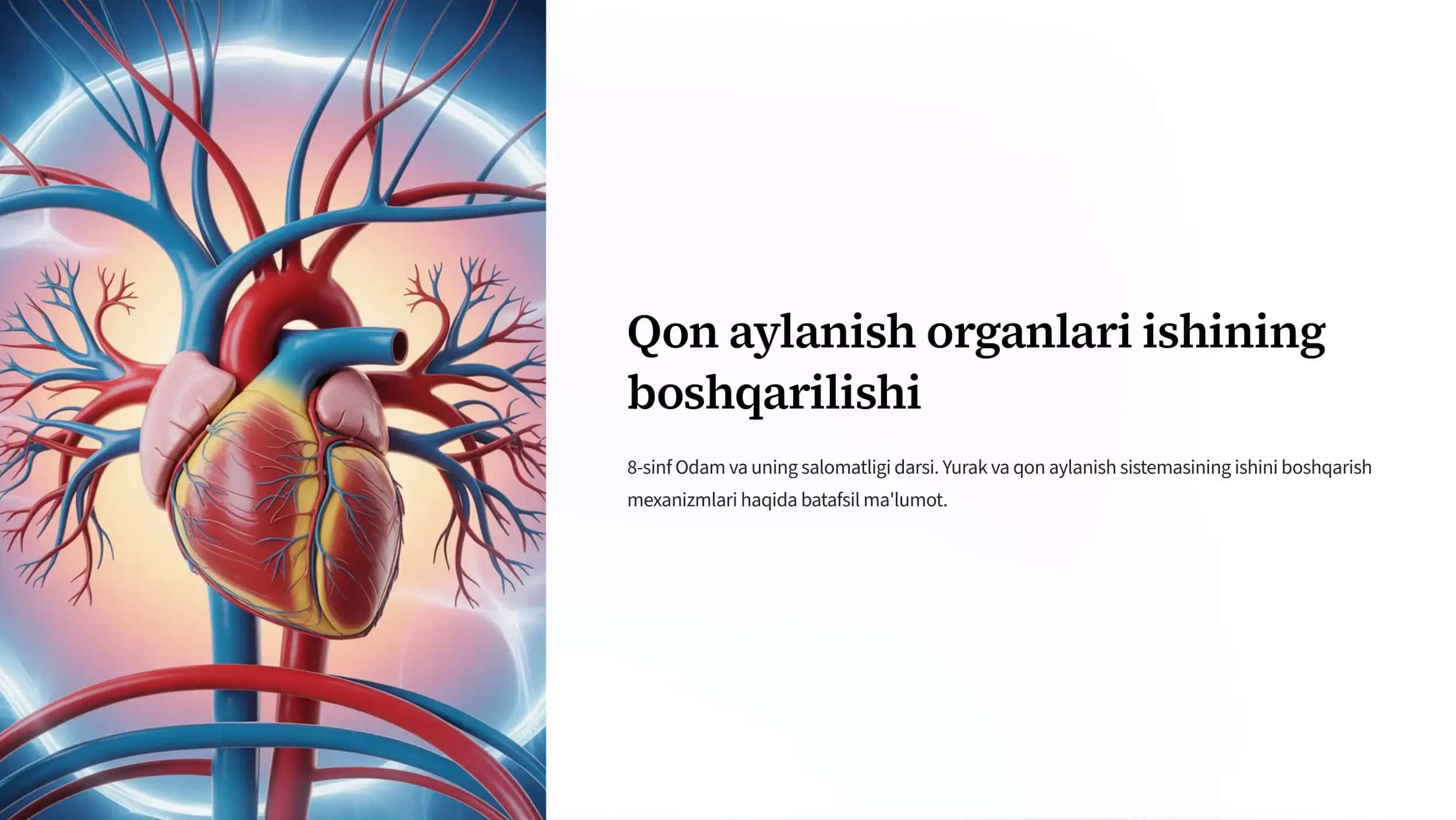 Yurak va Qon Aylanish Sistemasi Ishi boshqarilishi