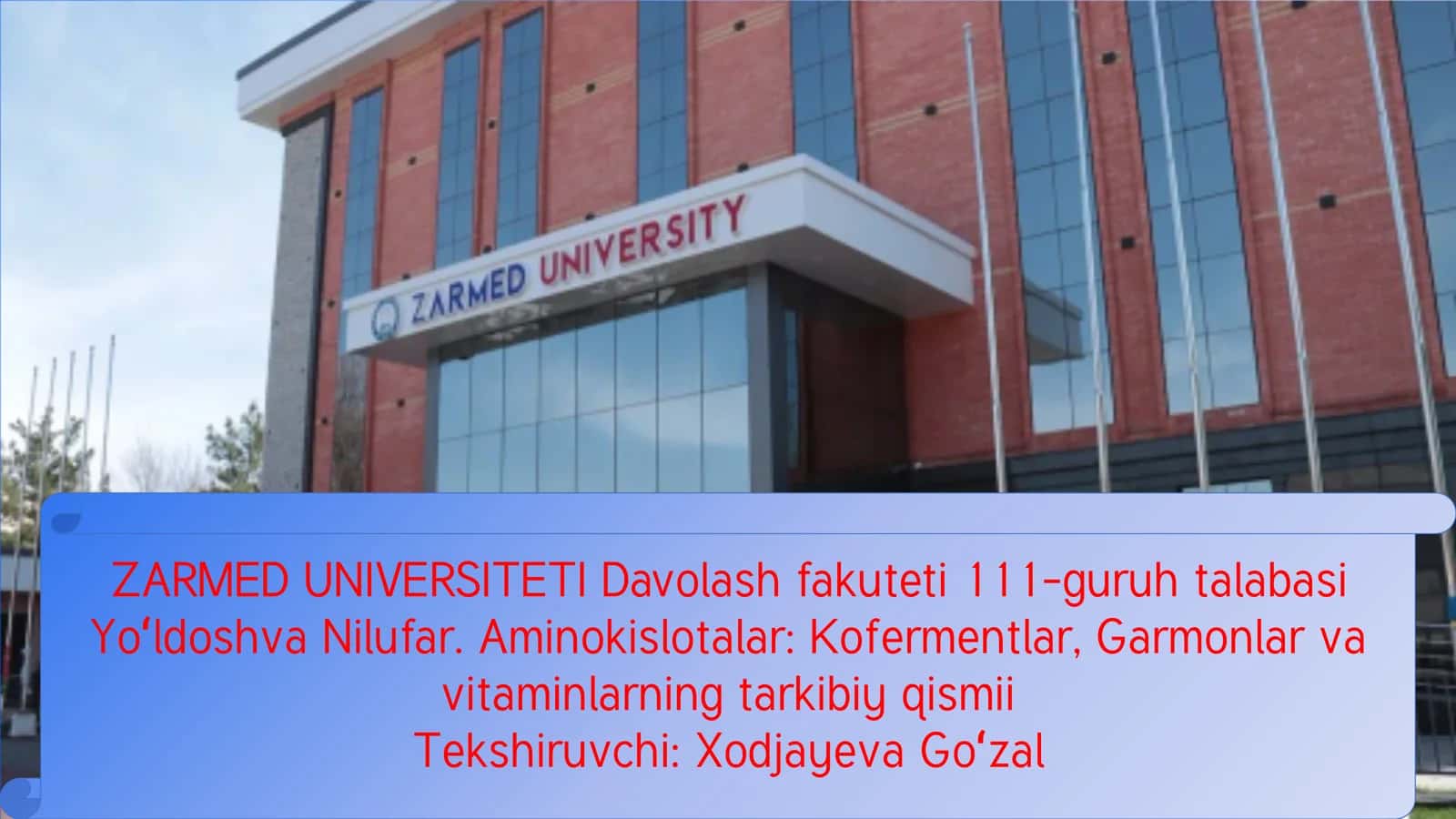Aminokislotalar: Kofermentlar, Garmonlar va Vitaminlarning Tarkibiy Qismi