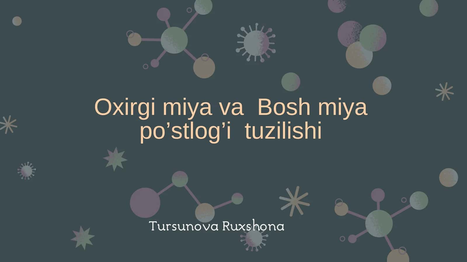 Oxirgi miya va Bosh miya
