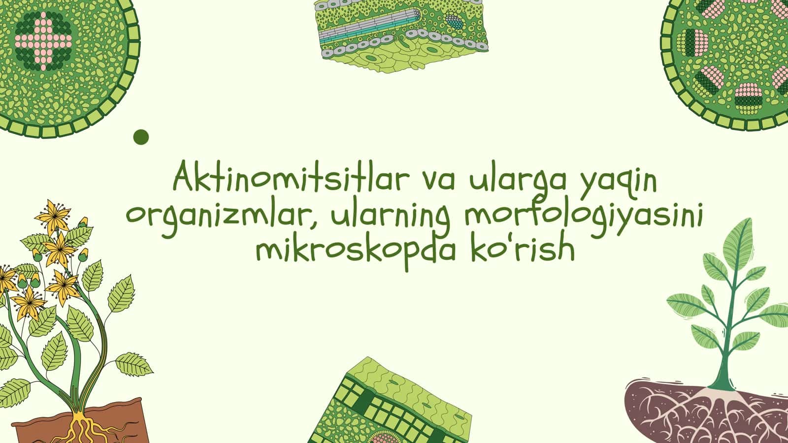 Aktinomitsitlar va ularga yaqin organizmlar