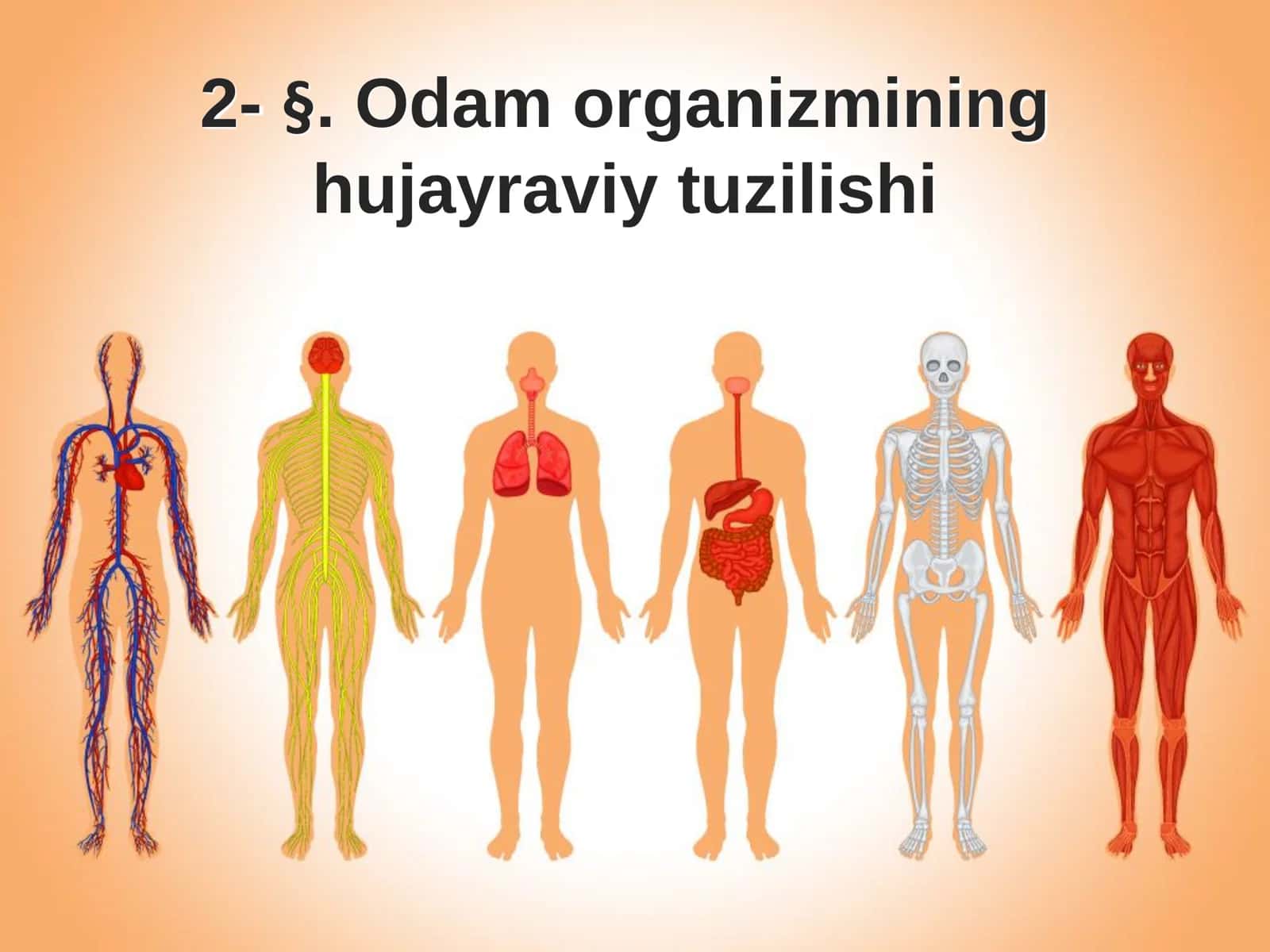 Biologiya: “Odam Organizmining Hujayraviy Tuzilishi” Taqdimot