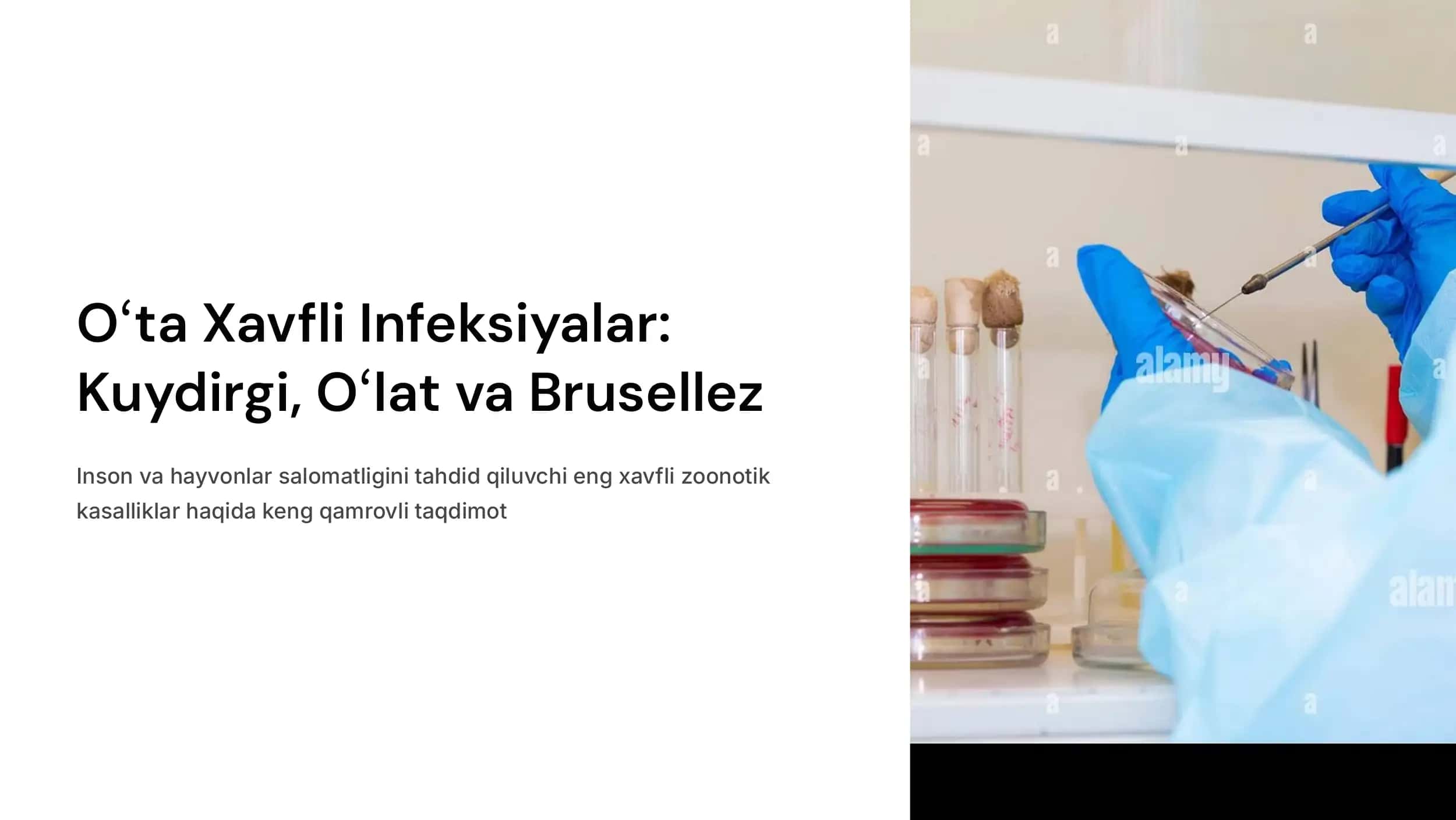 Oʻta xavfli infeksiyalar (kuydirgi, oʻlat, brusellez)..