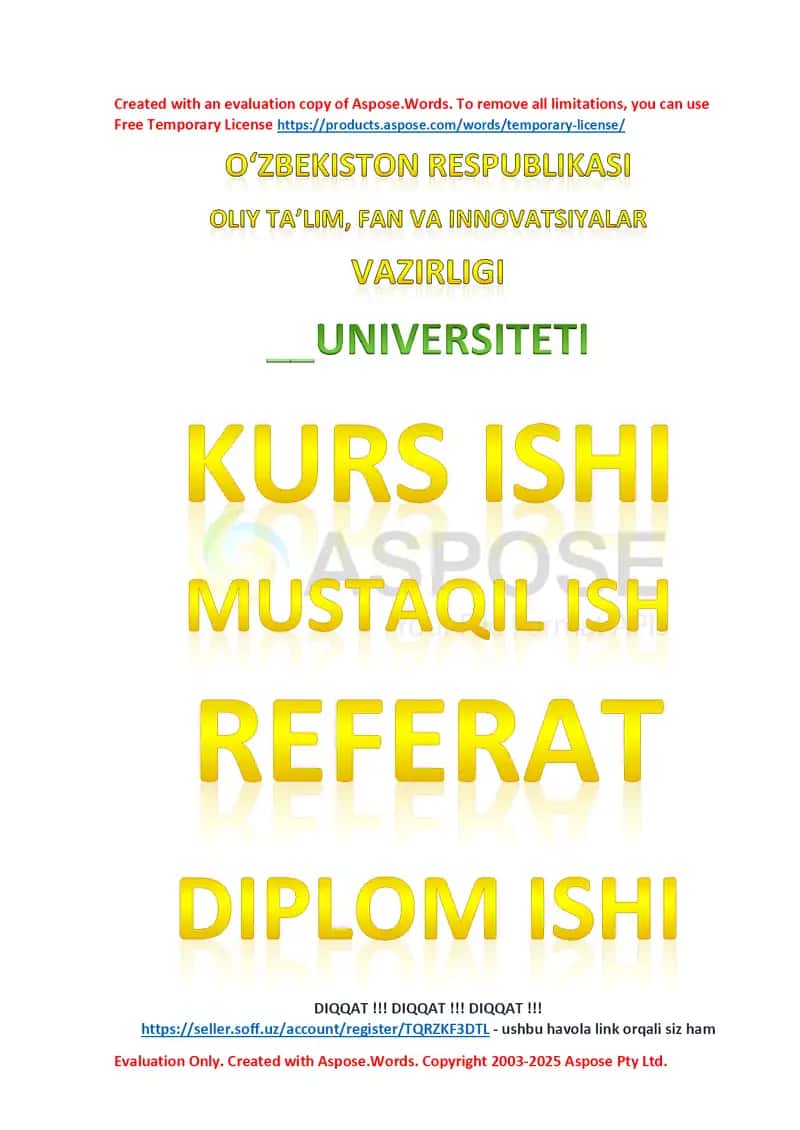 Usmonlilar imperiyasi Tanzimot davrida (Kurs ishi)