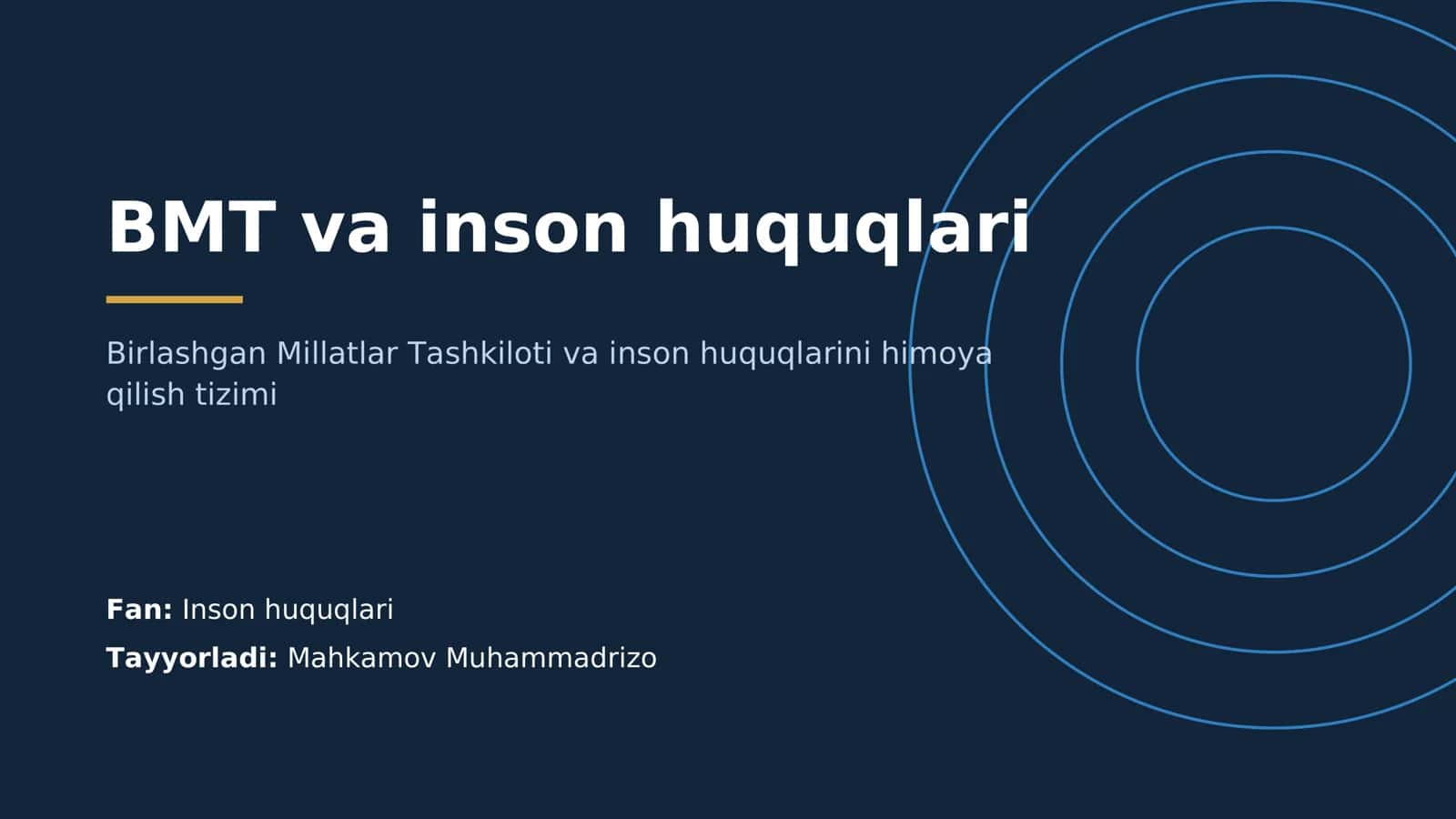 BMT va inson huquqlari