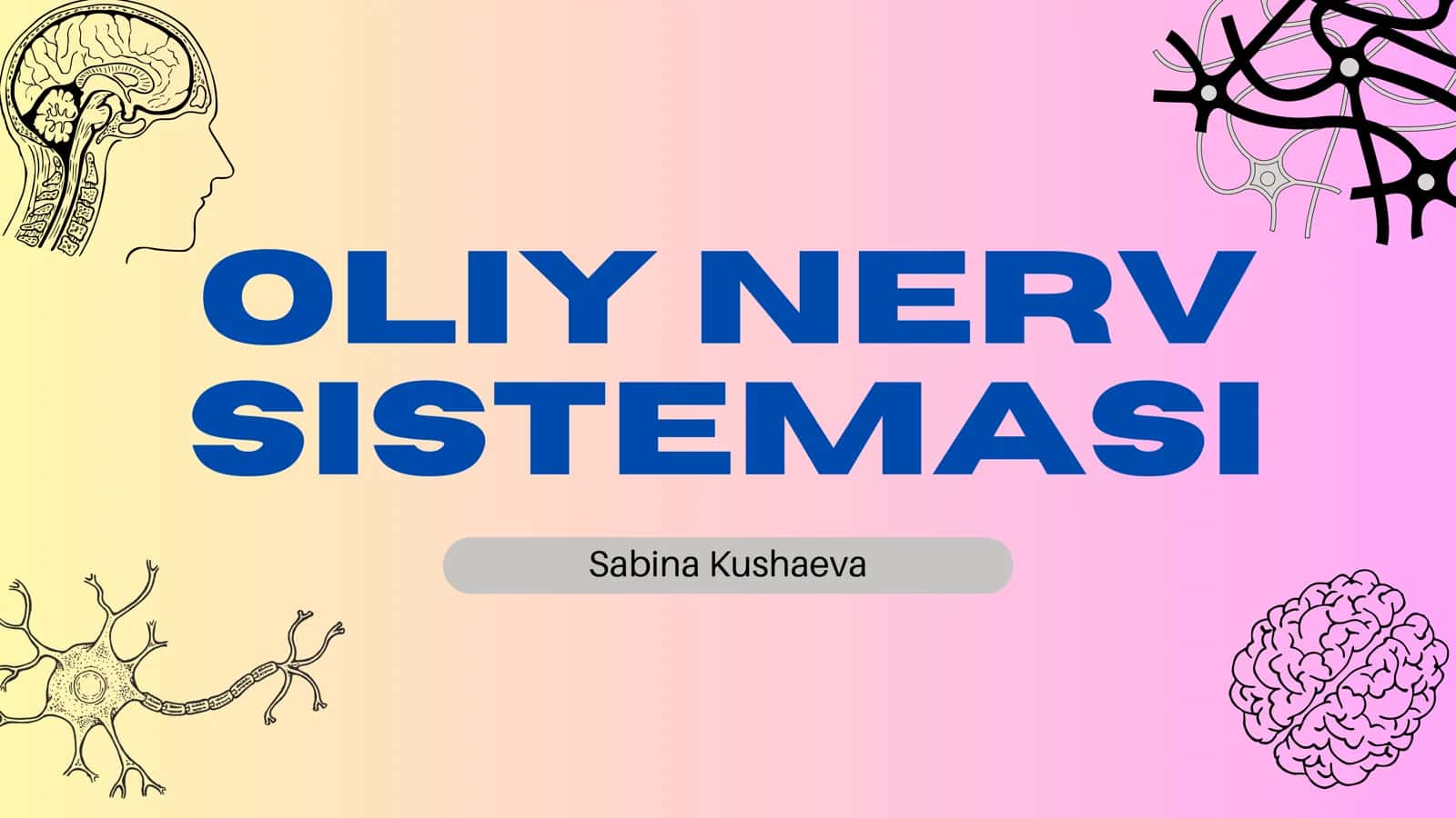 Oliy Nerv Sistemasi