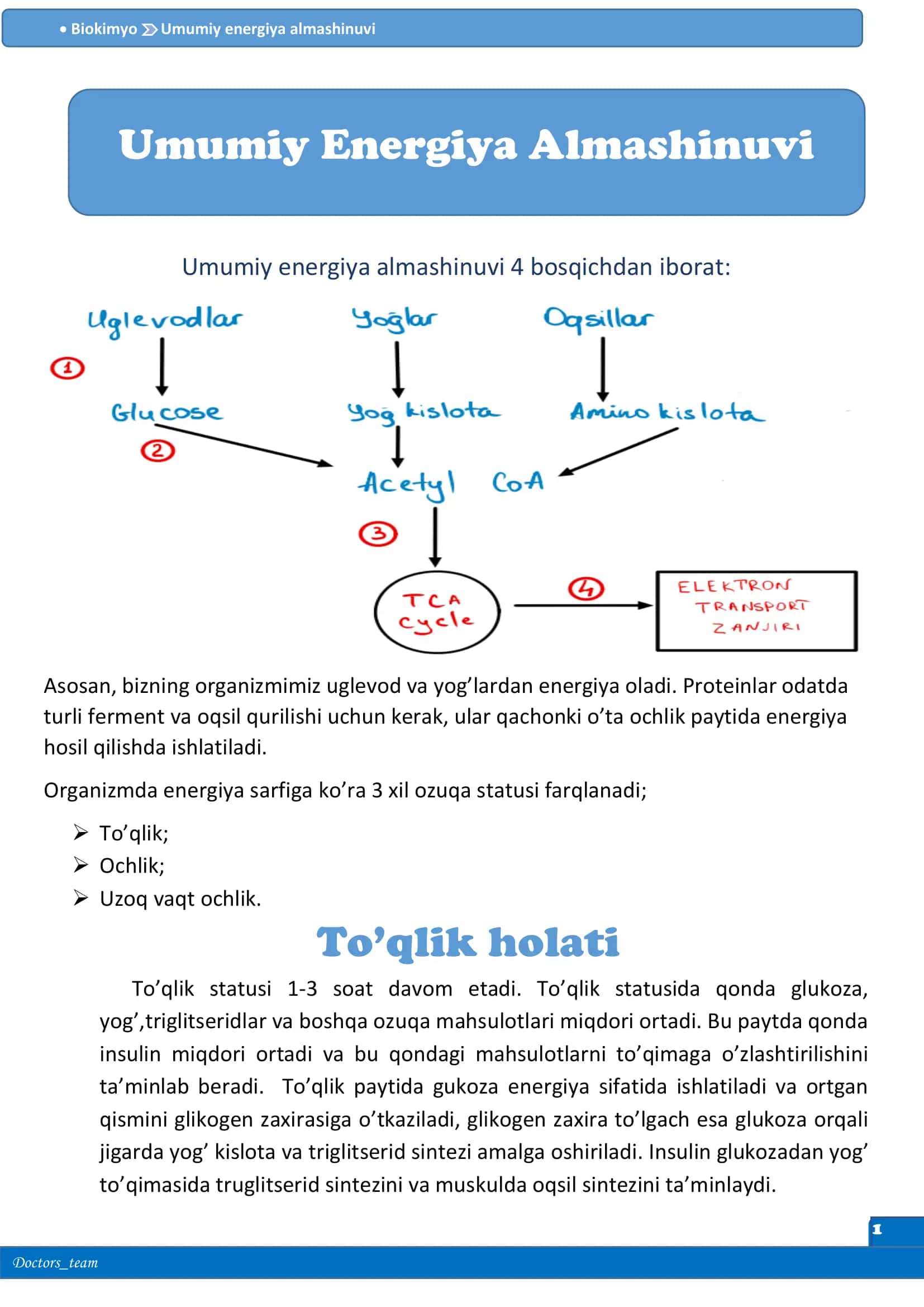 Biokimyo Umumiy energiya almashinuvi