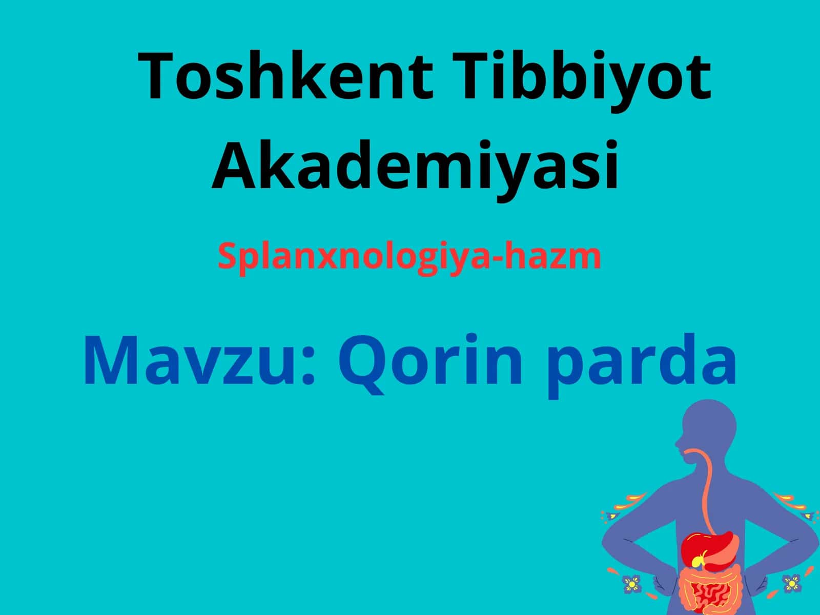 Hazm sistemasi. Qorin parda