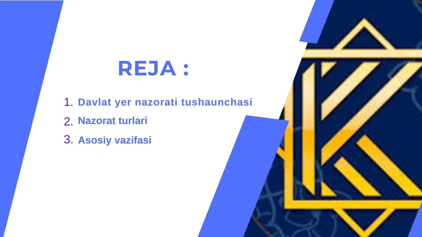 Davlat yer nazorati